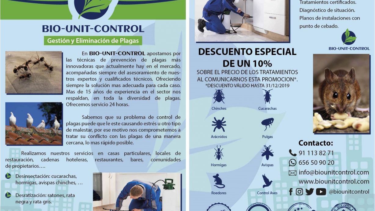 Si tiene problemas con las plagas en Madrid